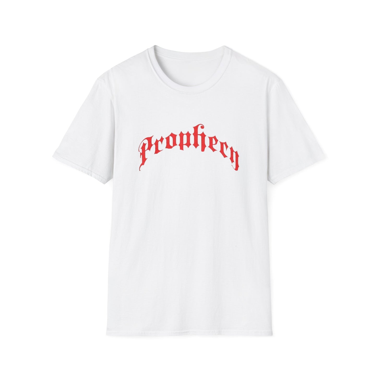 Prophecy T-Shirt, Religion Tee, Jesus, Christian, Anglican