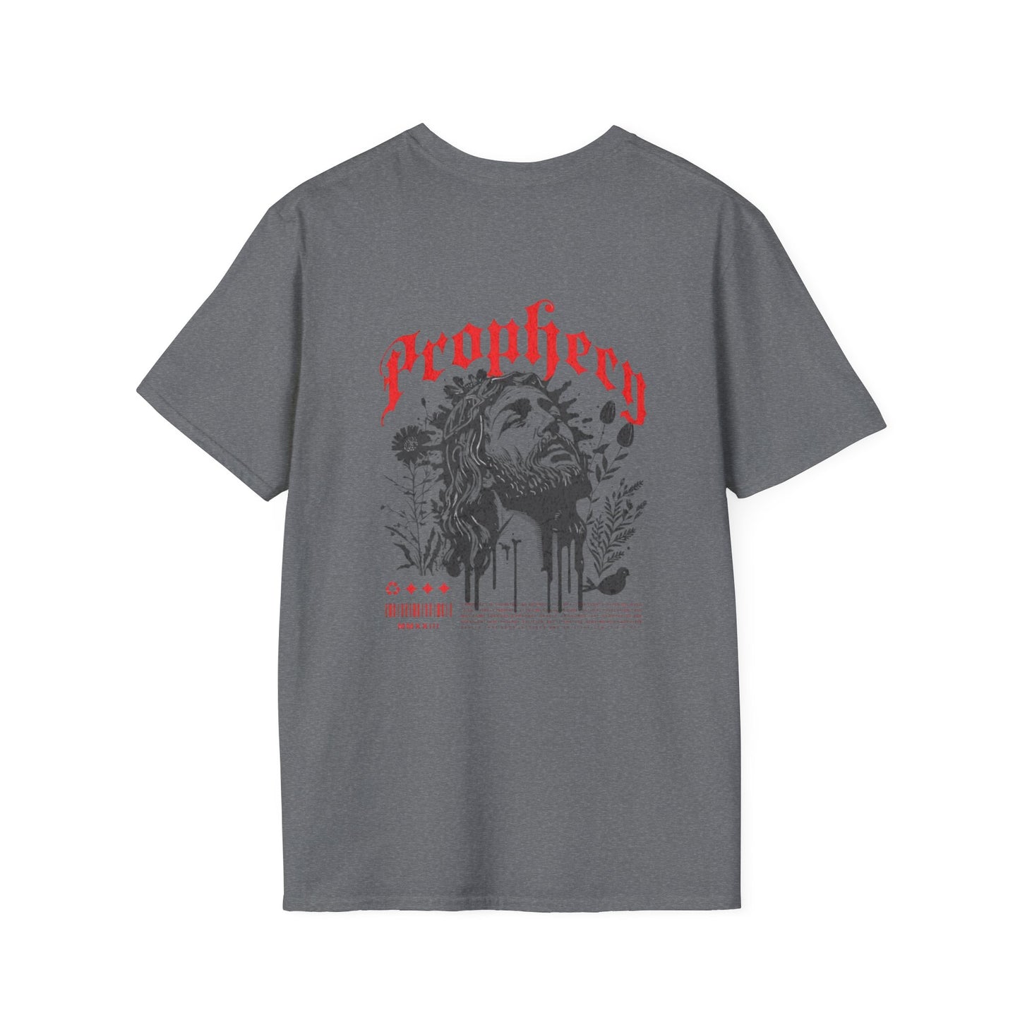 Prophecy T-Shirt, Religion Tee, Jesus, Christian, Anglican