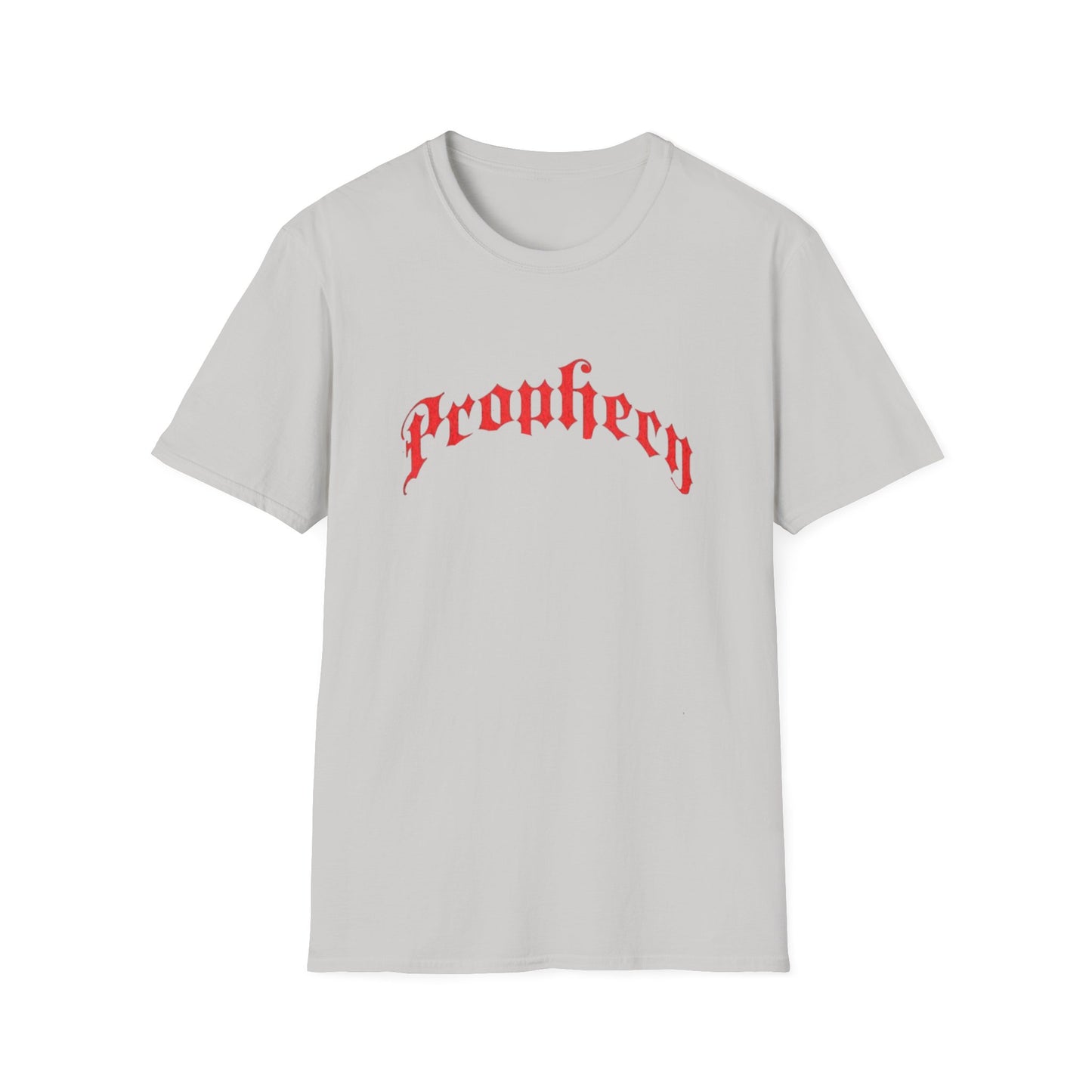 Prophecy T-Shirt, Religion Tee, Jesus, Christian, Anglican