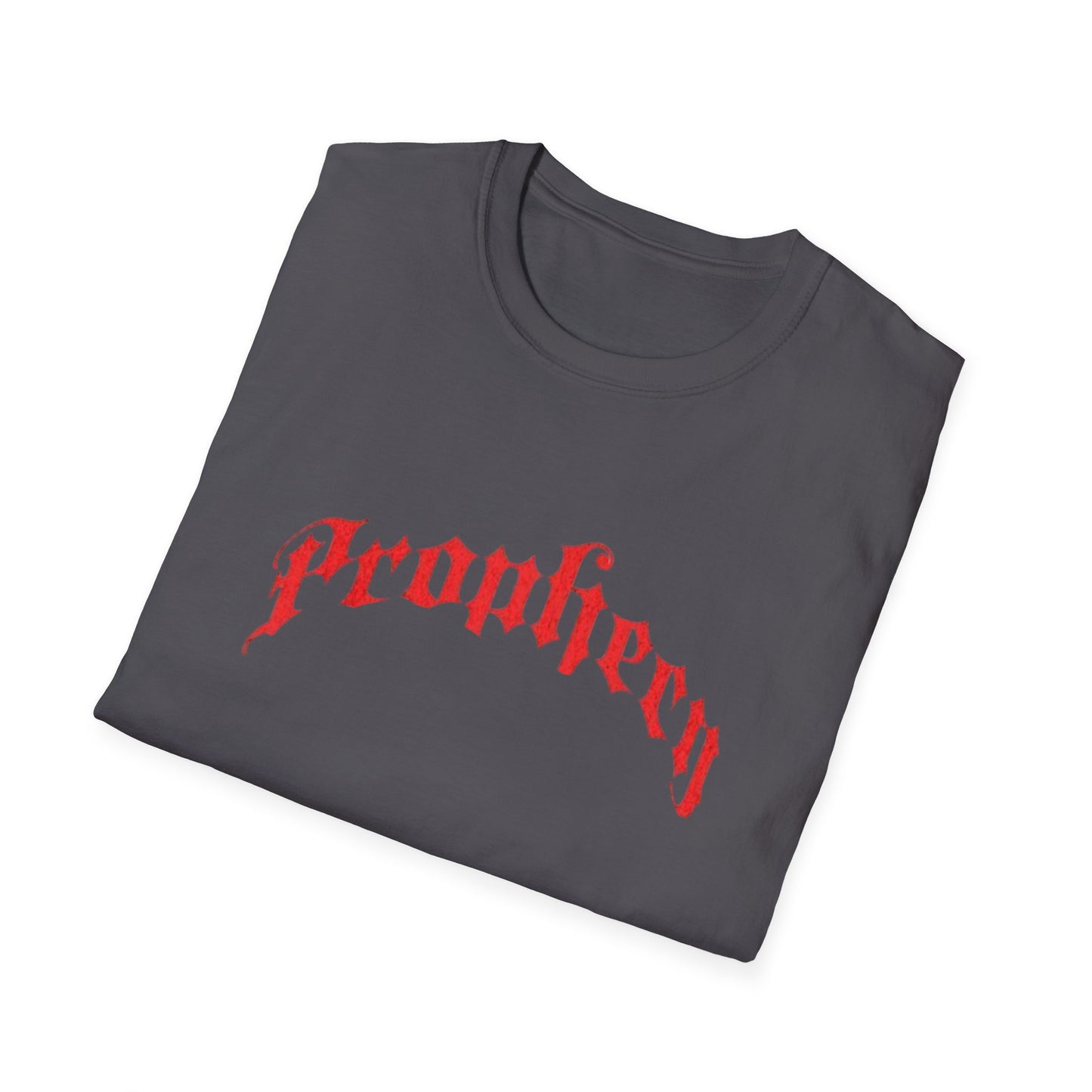 Prophecy T-Shirt, Religion Tee, Jesus, Christian, Anglican