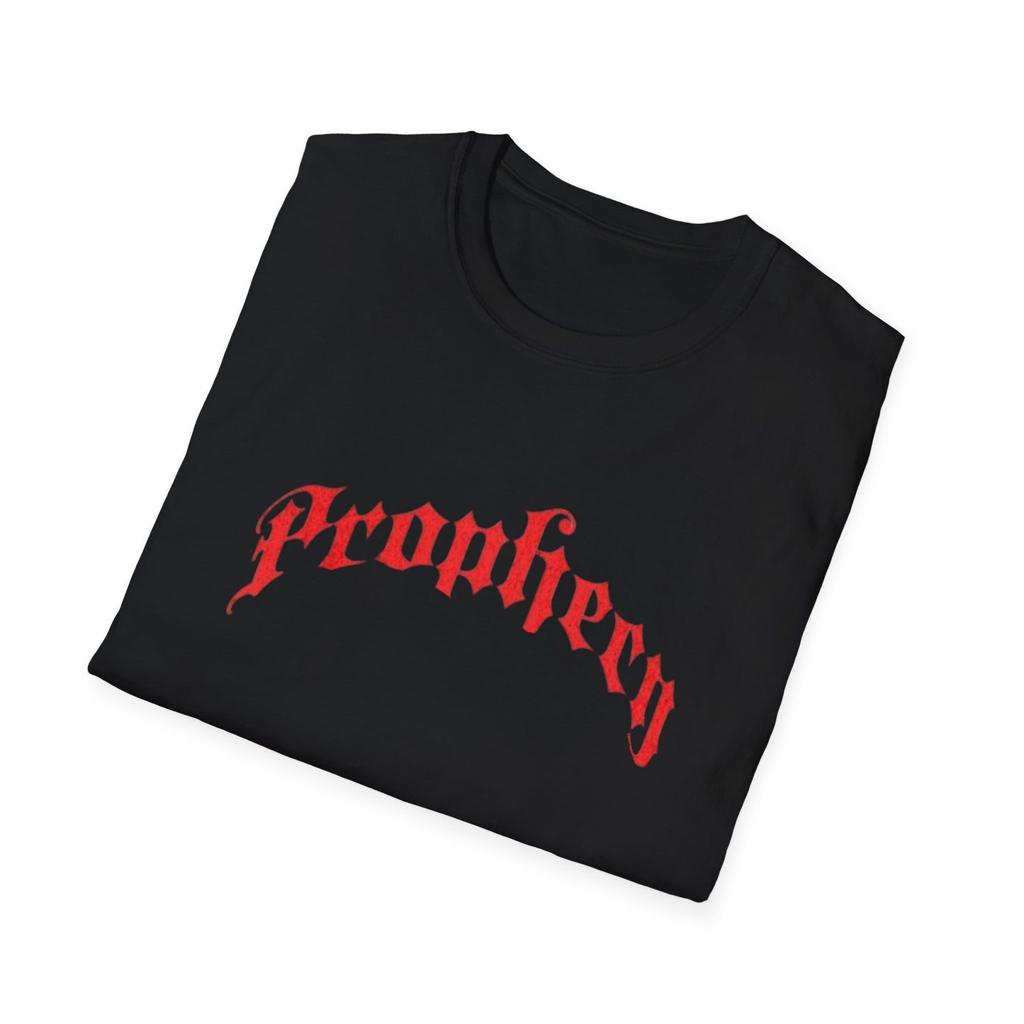 Prophecy T-Shirt, Religion Tee, Jesus, Christian, Anglican