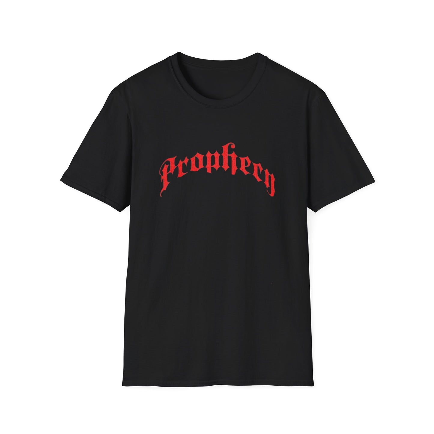 Prophecy T-Shirt, Religion Tee, Jesus, Christian, Anglican