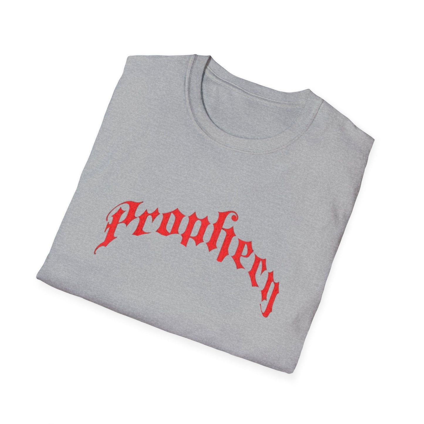 Prophecy T-Shirt, Religion Tee, Jesus, Christian, Anglican