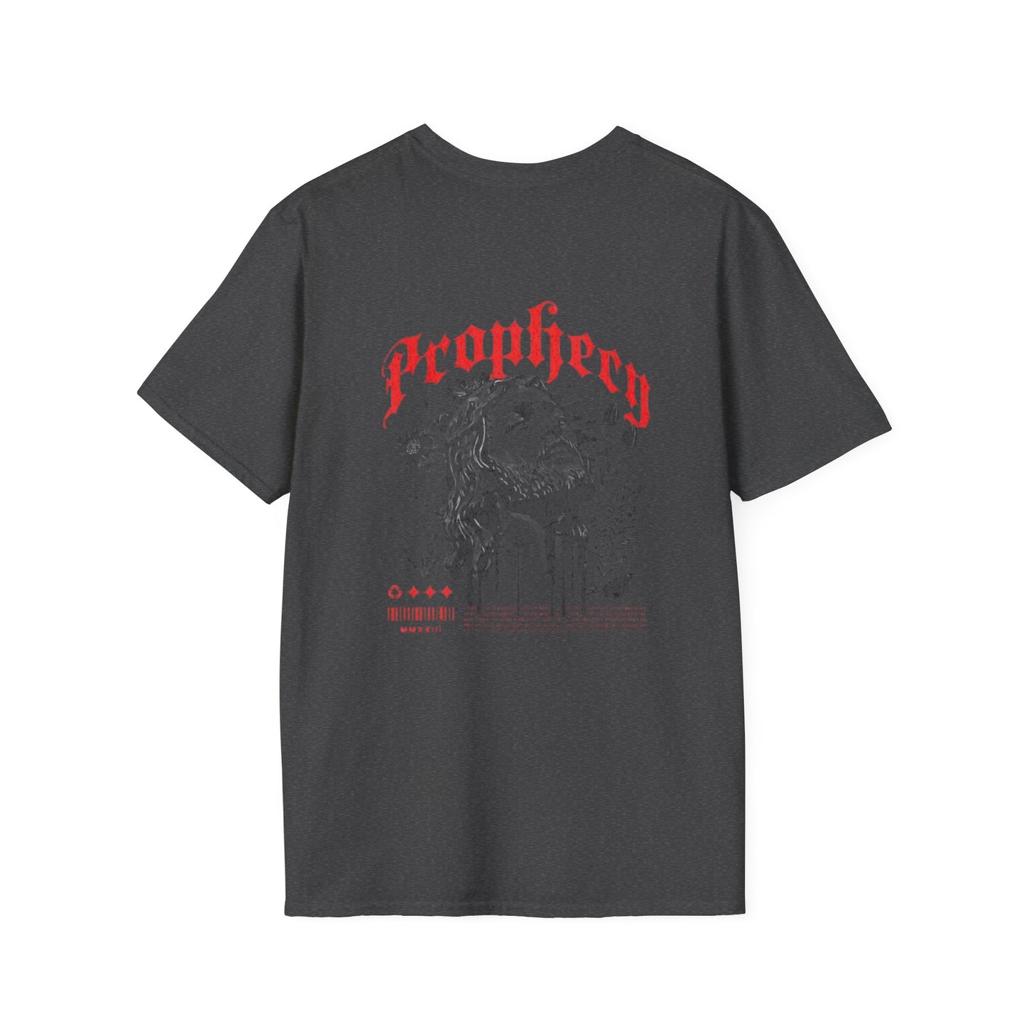 Prophecy T-Shirt, Religion Tee, Jesus, Christian, Anglican