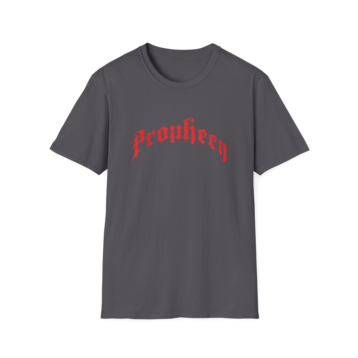 Prophecy T-Shirt, Religion Tee, Jesus, Christian, Anglican