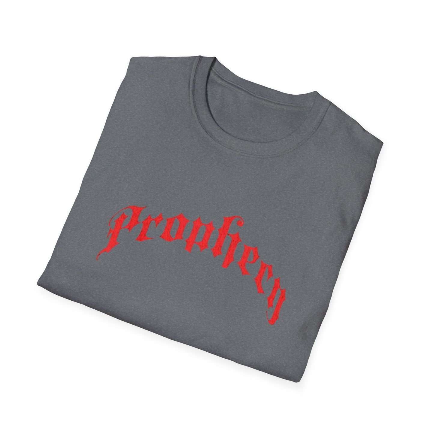 Prophecy T-Shirt, Religion Tee, Jesus, Christian, Anglican