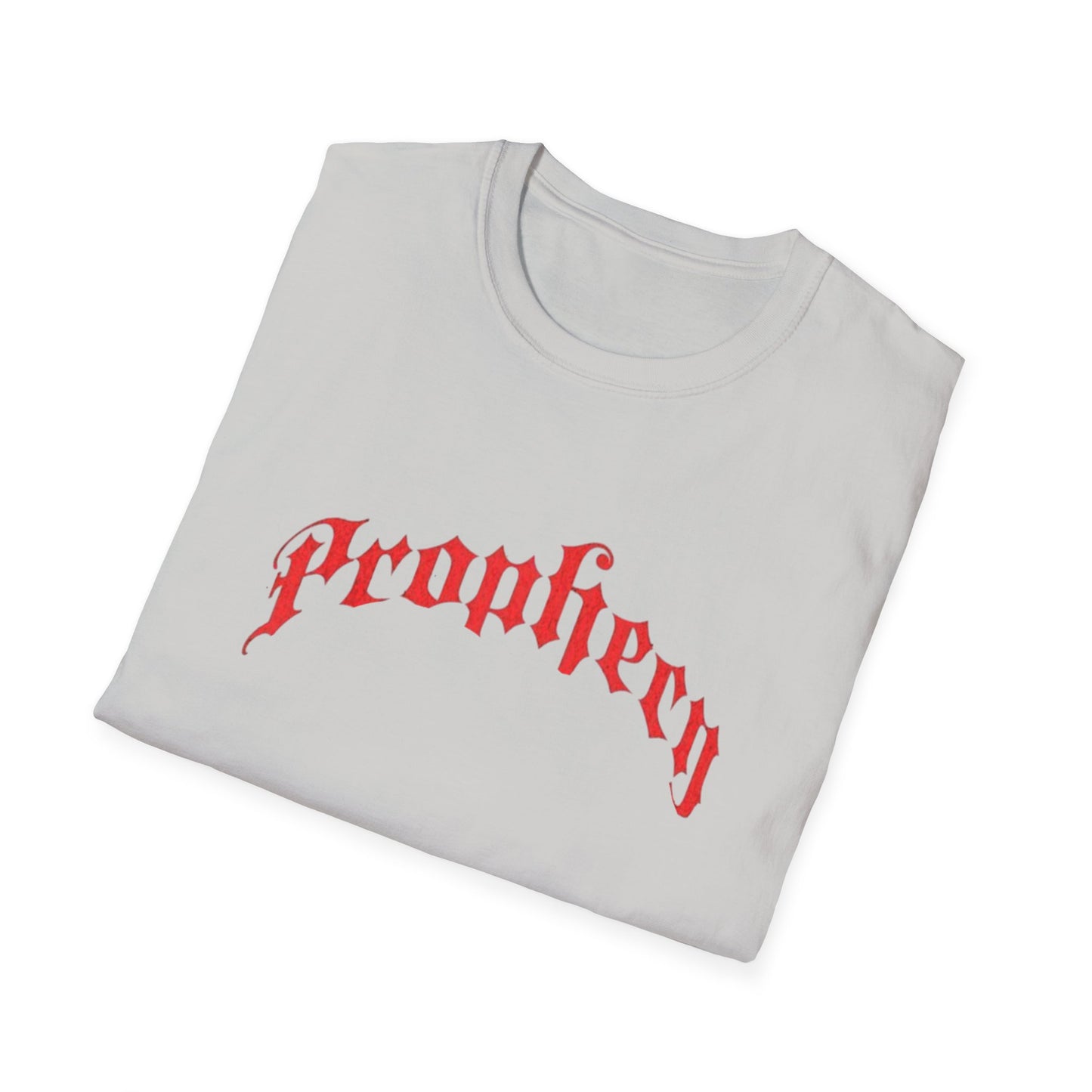 Prophecy T-Shirt, Religion Tee, Jesus, Christian, Anglican