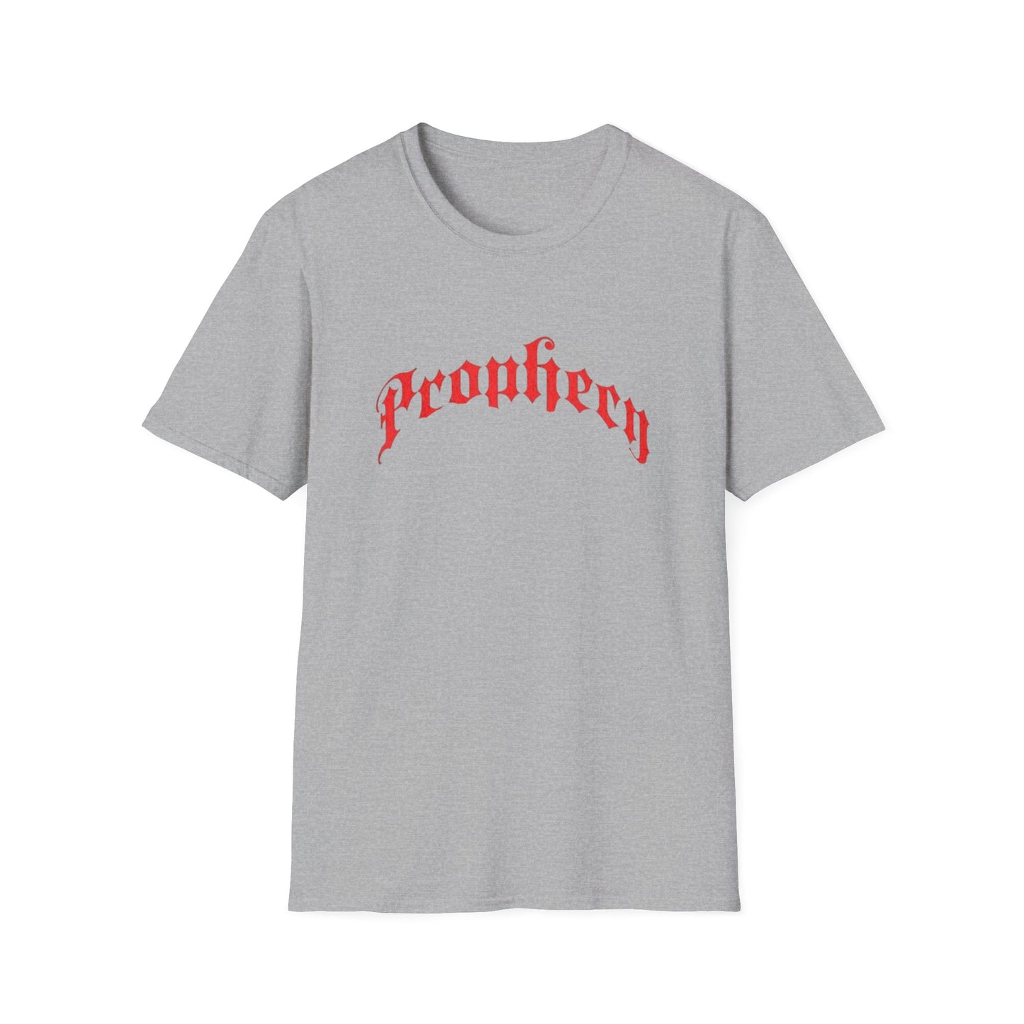 Prophecy T-Shirt, Religion Tee, Jesus, Christian, Anglican